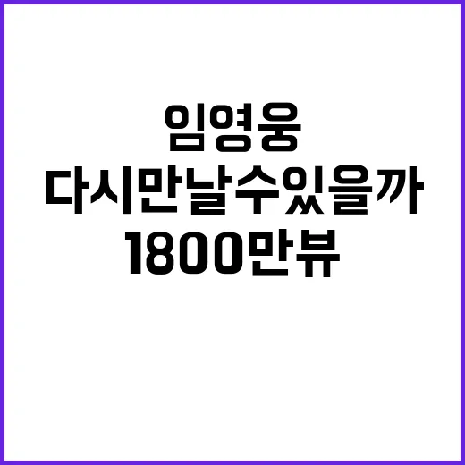 임영웅 다시 만날 수 있을까 1800만뷰 기록!