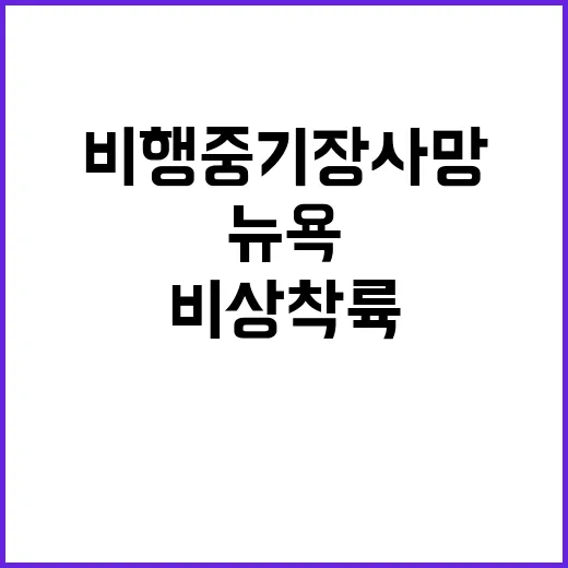 비행 중 기장 사망 뉴욕 비상착륙 소식!