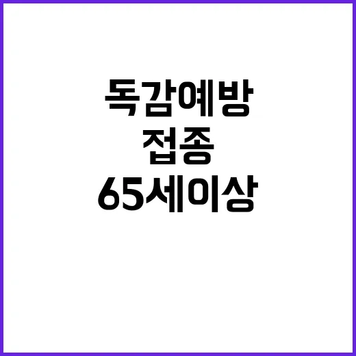 백신 접종 65세 이상 독감 예방 강조!