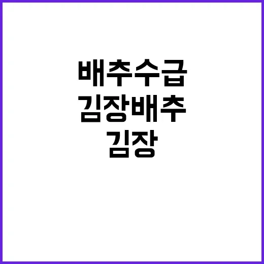 김장배추 수급 안정성에 대한 거짓 소문 확인!