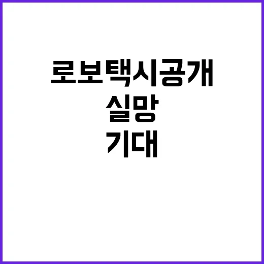 로보택시 공개 → …