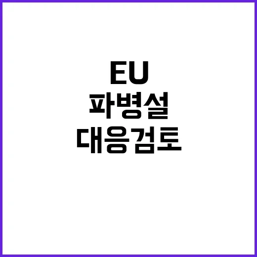 EU 북한 러 파병설 진실 여부에 대응 검토 중!