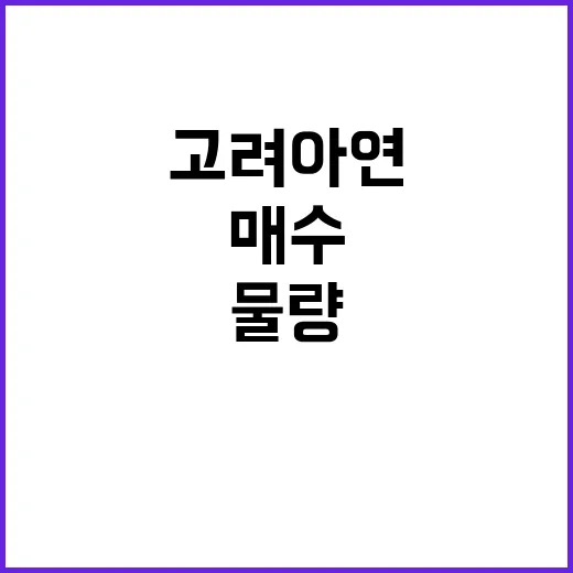 고려아연 매수·물량 증가로 마지막 승부수!