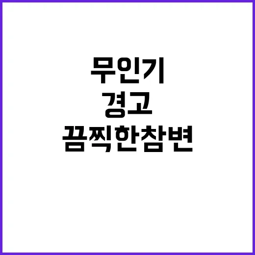 무인기 김여정의 경…