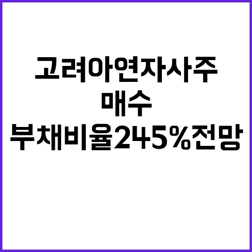 고려아연 자사주 매수로 부채비율 245% 전망!