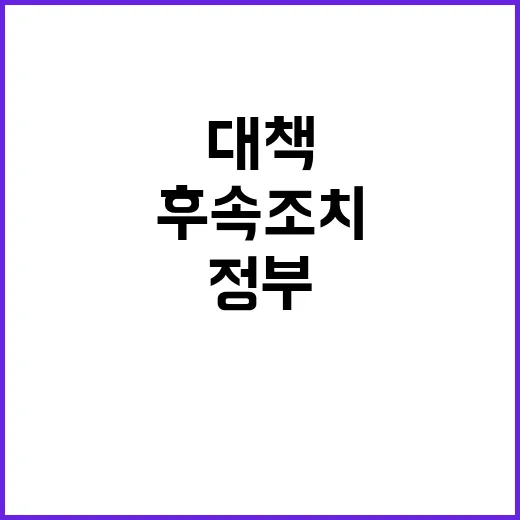 ‘정부 대책’ 후속 조치 이달말 결정 주목!