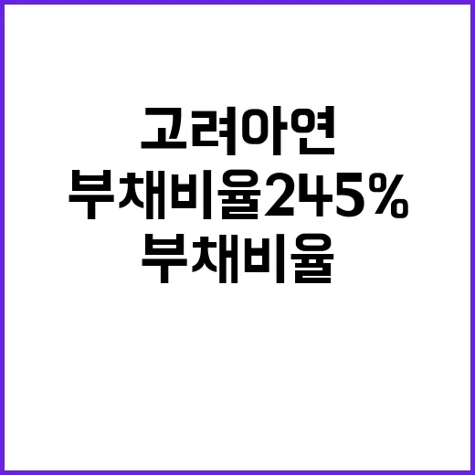 고려아연 6년 후 부채비율 245% 예상!