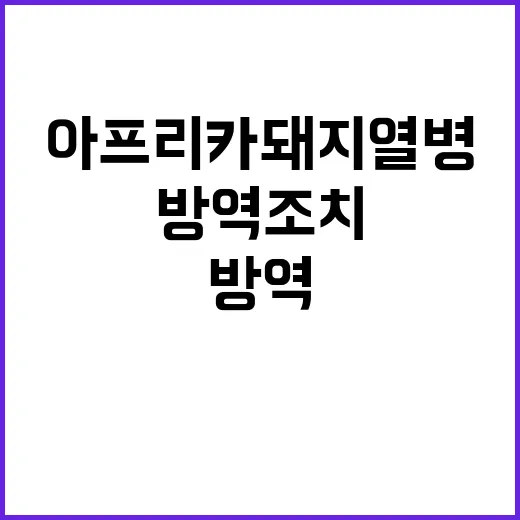 아프리카돼지열병 철…