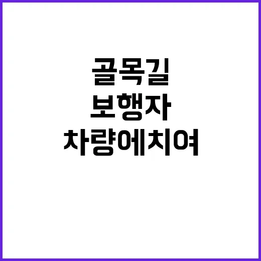 골목길 사고 보행자…