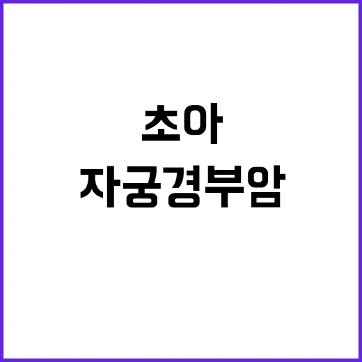 자궁경부암 초아 예방 방법 공개! 클릭 필수!