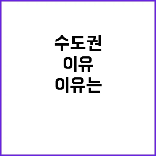 관광객 80% 수도…