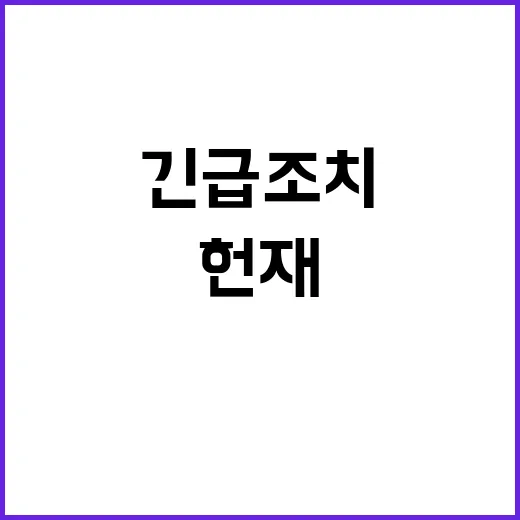 헌재 효력 정지 헌재 마비 막은 긴급 조치!