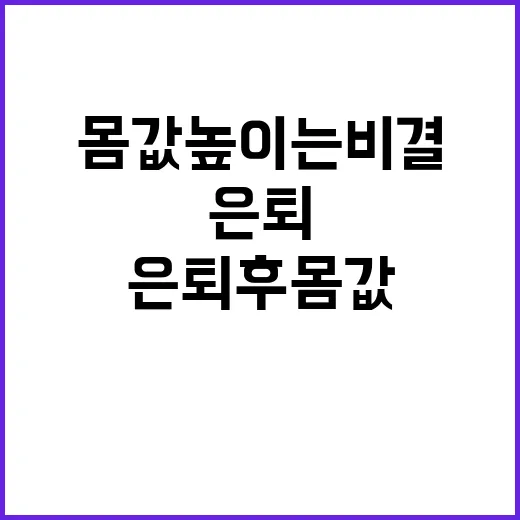 자격증 은퇴 후 몸…