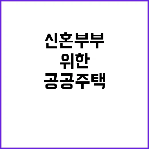 공공주택 신혼부부 …