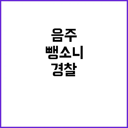 경찰 음주 뺑소니 …