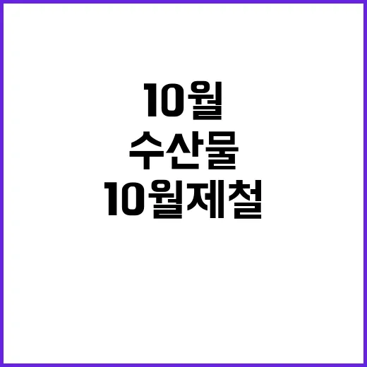 영양가 높은 10월 제철 수산물 TOP 2 선정!