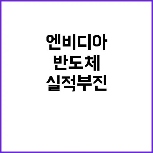 ASML 실적 부진…