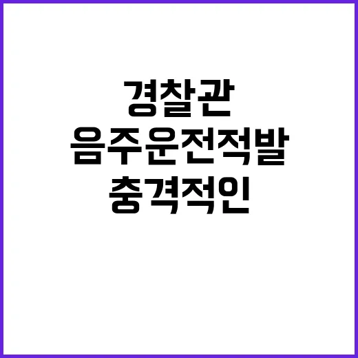 음주운전 적발 경찰…