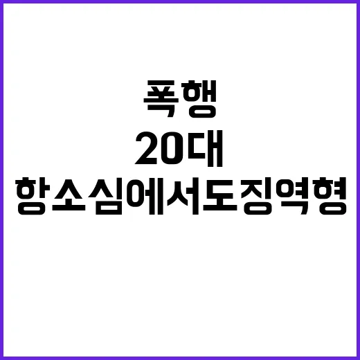 폭행 20대 남성 항소심에서도 징역형 선고!