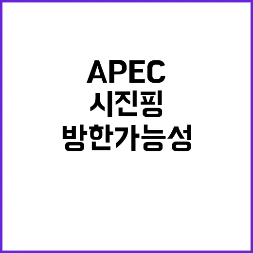 시진핑 APEC 방…