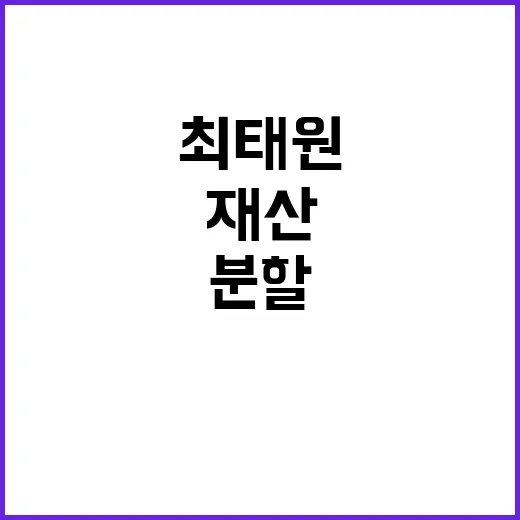 최태원 재산 분할 …