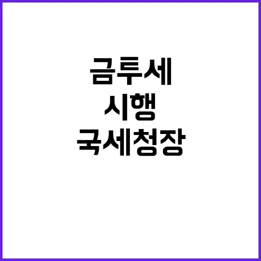 금투세 시행 국세청…