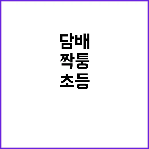 짝퉁 담배공장 초등학교 앞에서 포착되다!