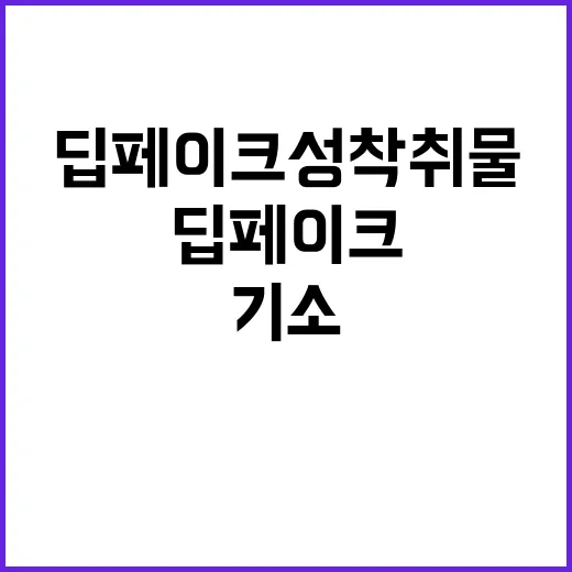 딥페이크 성착취물 …