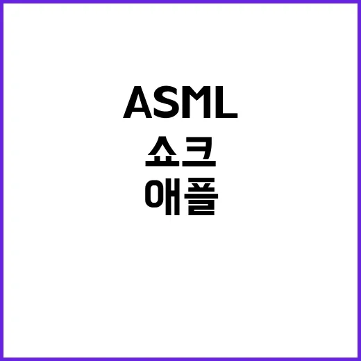 ASML쇼크 애플은 어떻게 버텼을까?