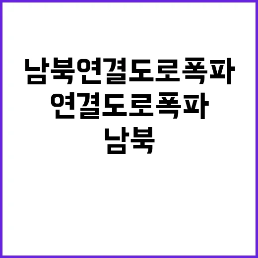 ‘남북 연결도로 폭파’ 누가 왜 침묵하고 있을까?