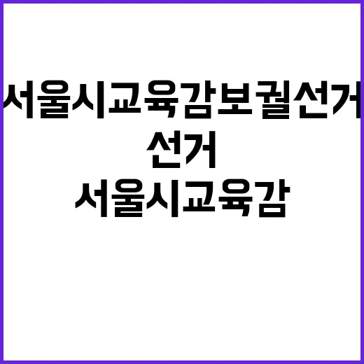 서울시교육감 보궐선…