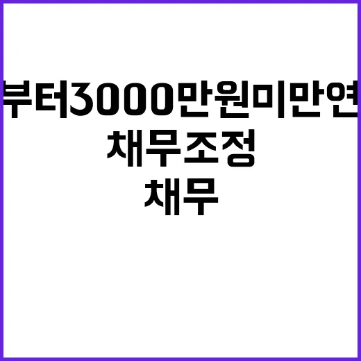 채무조정 내일부터 3000만 원 미만 연체자 권리!