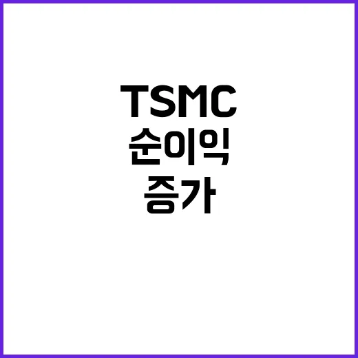 TSMC 순이익 증가 시장 예상 웃도는 놀라운 실적!