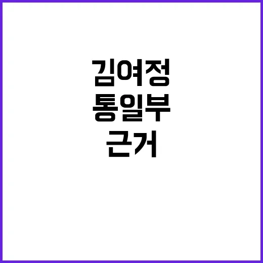 통일부 김여정 주장 반박 저작권 근거 없다!