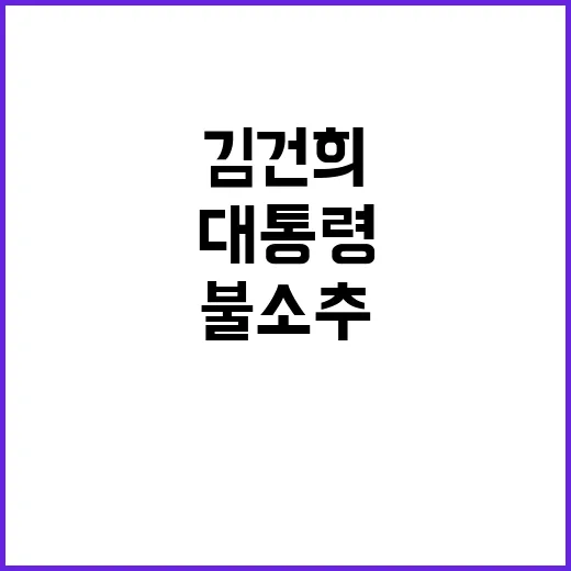 민주당 김건희 대통…