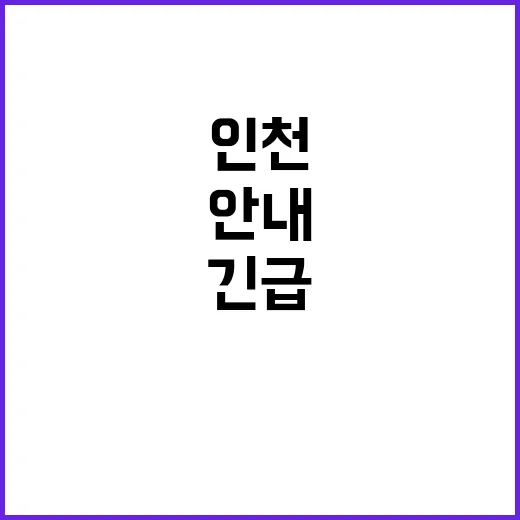 호우주의보 인천 제외한 모든 지역 긴급 안내!