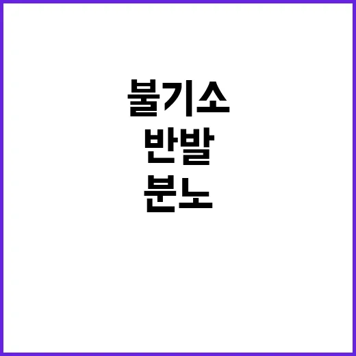 김여사 불기소 민주…