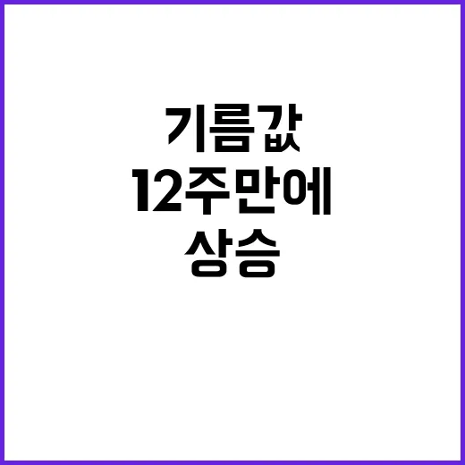 휘발유 상승 12주 만에 기름값 1600원 임박!