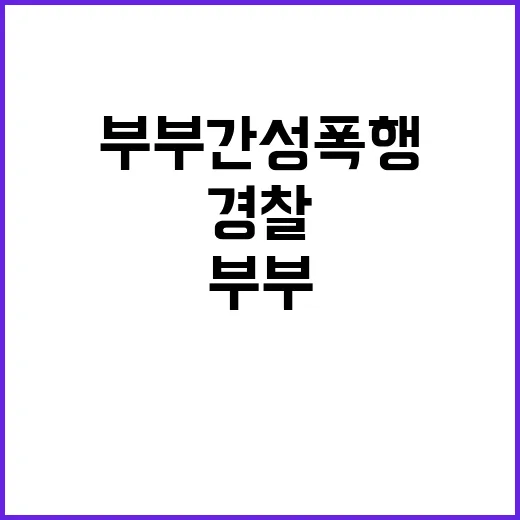 부부간 성폭행 의혹 경찰 확인 중! 어떤 사실?