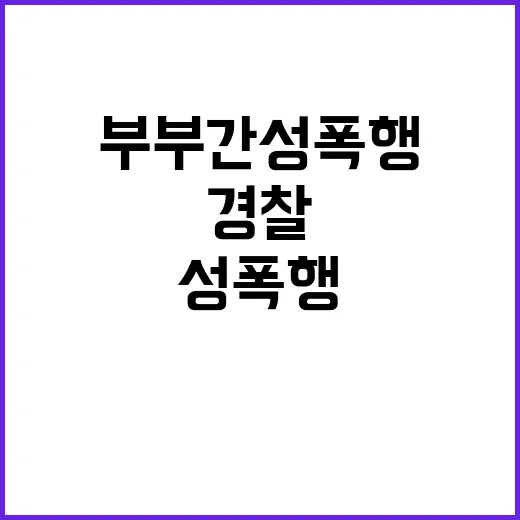 ‘부부간 성폭행’ …