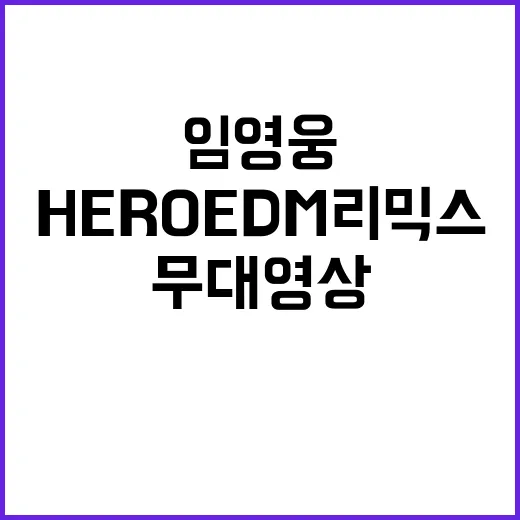 HERO EDM 리믹스 임영웅 무대영상 800만뷰 돌파!