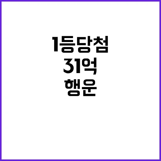 로또 1등 당첨 부산도 포함된 31억 행운!