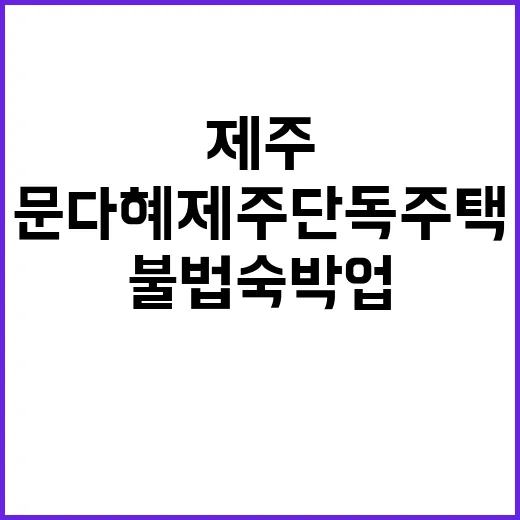 불법 숙박업 문다혜 제주 단독주택 수사 시작!