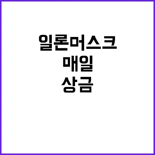 일론 머스크 매일 …