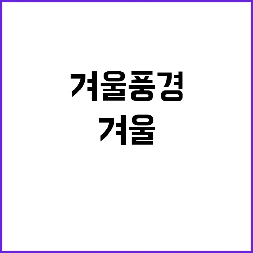 대청봉 첫눈 한파 속 겨울 풍경 공개!