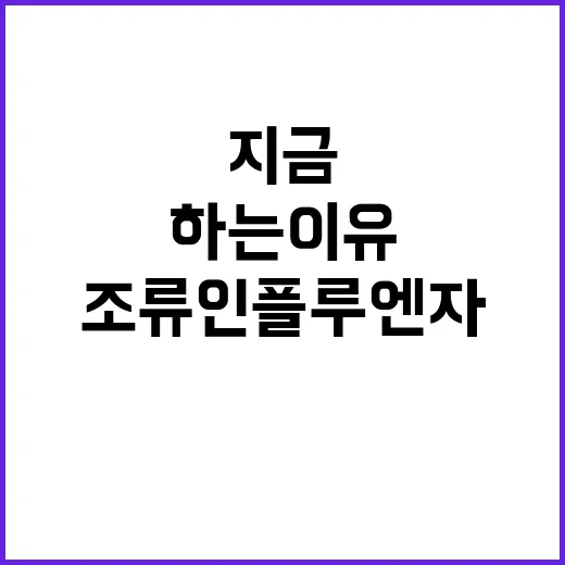 조류인플루엔자 지금 막아야 하는 이유!