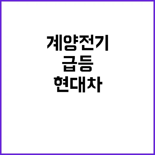 아디다스 대표 국감…