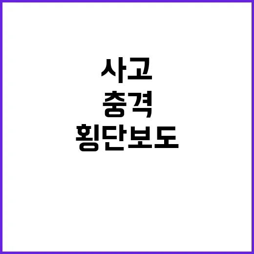 횡단보도 사고 보행…