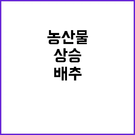 농산물 가격 상승 …