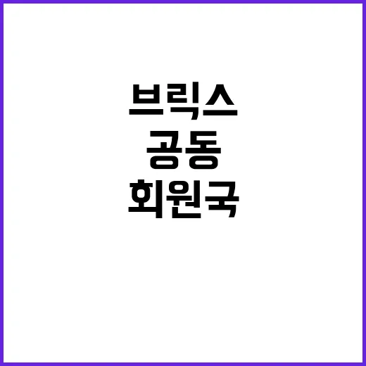 브릭스 대안적 국제결제 회원국 공동안보 논의!